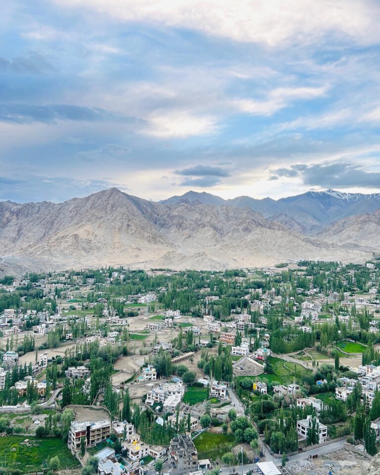 Leh City view