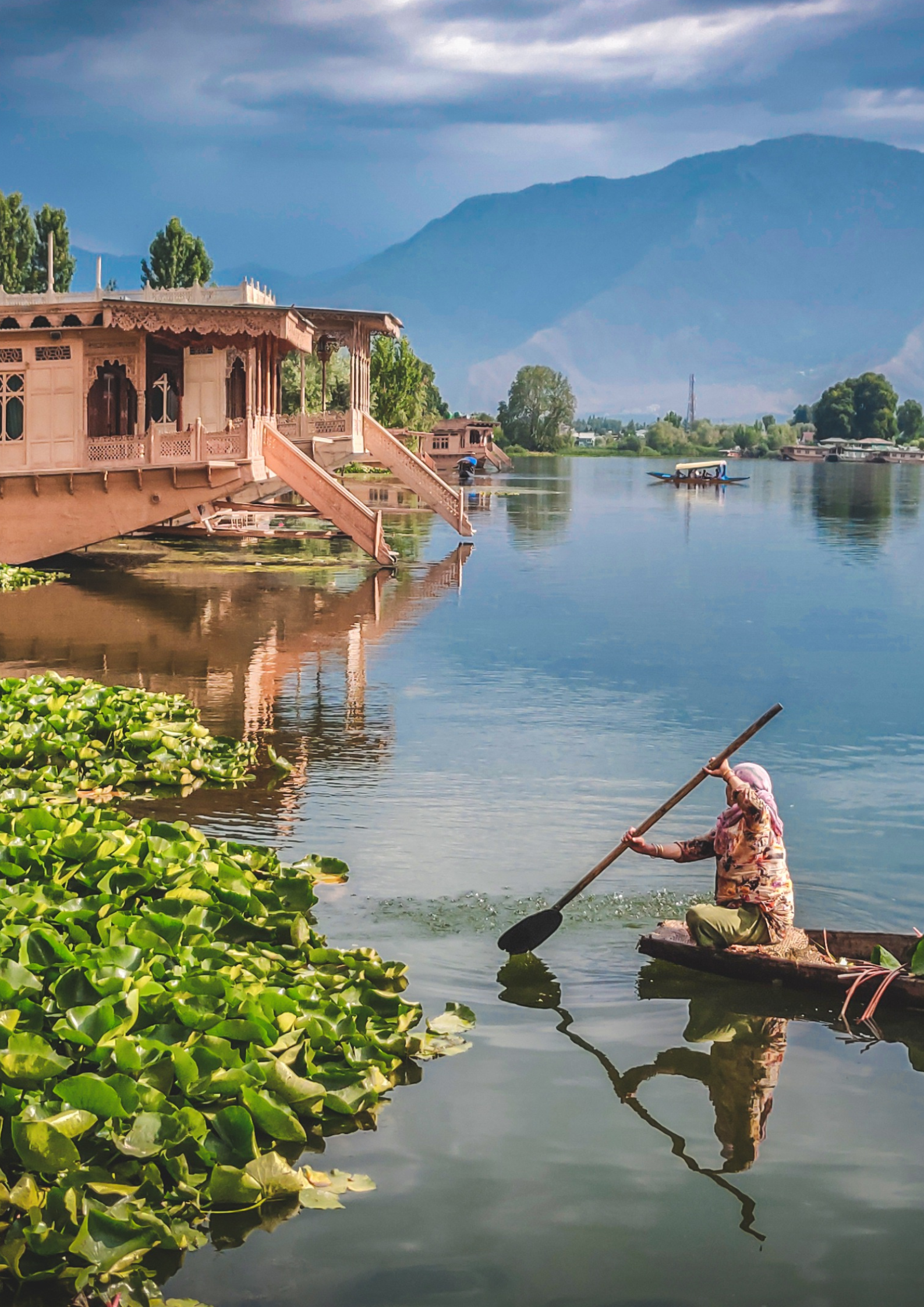 Dal lake kashmir